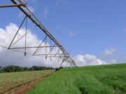 Seguro rural pança e reacende o debate sobre as regras do setor