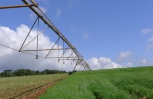 Seguro rural pança e reacende o debate sobre as regras do setor