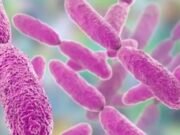 O tratamento à luz elimina bactérias que causam pneumonia