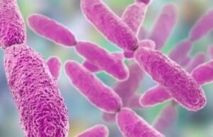 O tratamento à luz elimina bactérias que causam pneumonia