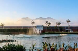 Veja quem são os nove jovens bilionários da geração Z presentes na lista da Forbes Brasil