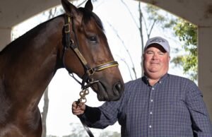 Widdup estável definido para continuar o domínio em Hawkesbury