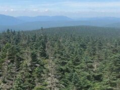 Cinco desaparecimentos inexplicáveis em cidade abandonada com homem ‘desaparecendo no ar’ em ônibus