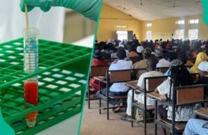 Drama como KWASUED ordena que os alunos se submetam ao teste obrigatório de drogas NDLEA ou percam a admissão