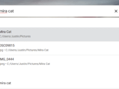 O aplicativo Desktop Search do Google está de volta (mais ou menos)