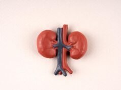 13 superalimentos amigos dos rins para adicionar à sua lista de compras