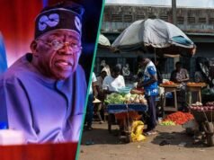 Cinco empréstimos governamentais e subsídios disponíveis para cidadãos sob a administração de Tinubu