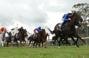 Antevisão corrida a corrida e dicas para Hawkesbury na quinta-feira