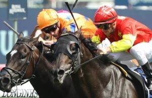 Dicas e prévias corrida por corrida para as corridas de sexta-feira em Canterbury