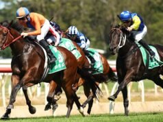 Dicas corrida por corrida para corridas de quarta-feira em Wyong