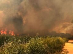 Taboada: incêndio num pasto colocou várias casas em risco
