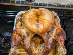 Este truque rápido reduz pela metade o tempo de cozimento do peru