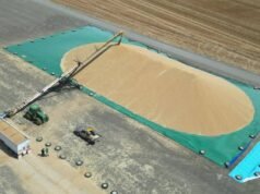 Grãos no bunker aumentam a conveniência e reduzem dores de cabeça na colheita