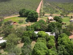 Pastores do Norte entusiasmados com a ideia do futuro processamento chegando à região