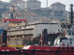 A Plataforma Animalist exigiu ação imediata em comunicado sobre o navio com 3.000 vacas encalhadas