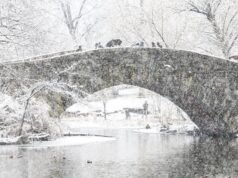 Clima de Nova York: uma rajada de ar frio atinge temperaturas que caem na noite mais fria do inverno
