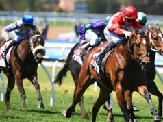 Antevisão corrida a corrida e dicas para Beaumont (Newcastle) no sábado