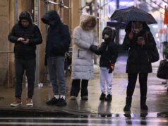 A baga repleta de antioxidantes que pode reduzir o frio do inverno