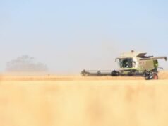 Austrália provavelmente terá a segunda maior safra de inverno já registrada | Fazenda Semanal