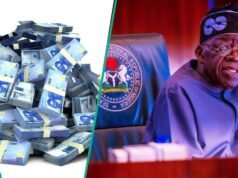 FEC aprova empréstimo de US$ 100 milhões do BAD para o Fundo de Investimento Juvenil da Nigéria