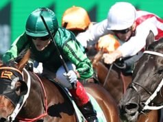 Dicas corrida por corrida e prévia de Kensington na sexta-feira