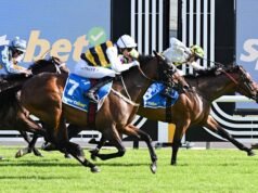 Treinador apoia irmã de Winx para voar alto após retornar de dores de crescimento