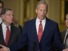 Atualizações ao vivo: Após a vitória do Partido Republicano no Tennessee, Thune alerta sobre desafios de médio prazo