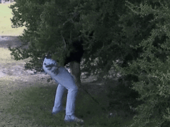 Rory McIlroy dá uma tacada e falha no Royal Melbourne, mas sobrevive para passar; Adam Scott, Cameron Smith e Min Woo Lee estão na disputa