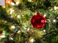 Árvore de Natal de verdade: eu colocaria você na lixeira verde