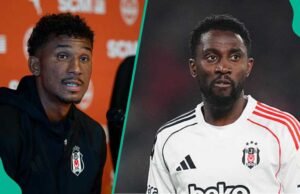 Wilfred Ndidi se esforça para convencer uma estrela nascida na Alemanha a jogar no Super Eagles, vídeo