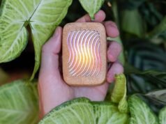 12 melhores presentes para amantes de plantas: edição técnica