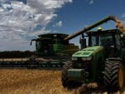 A colheita dos clubes de futebol desta cidade de Wheatbelt rende "muito melhorado" resultados