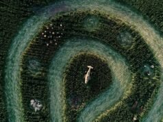 Crop Circles é uma misteriosa peça central do festival em uma pequena cidade do interior